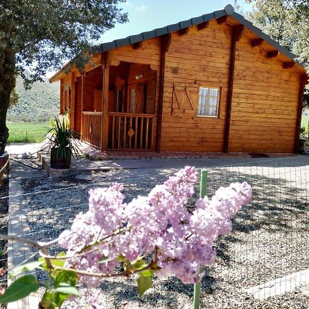 La Casa Del Estanque Villa Olocau del Rey Bagian luar foto