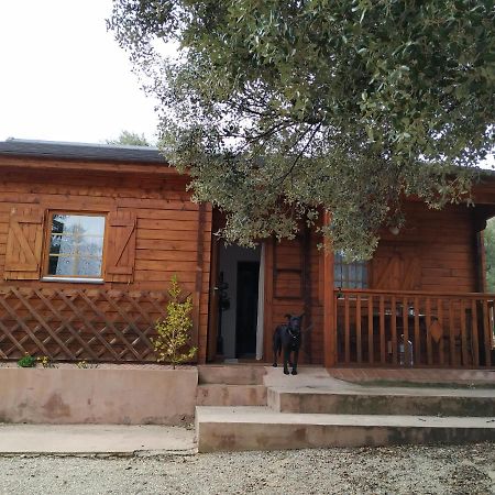 La Casa Del Estanque Villa Olocau del Rey Bagian luar foto