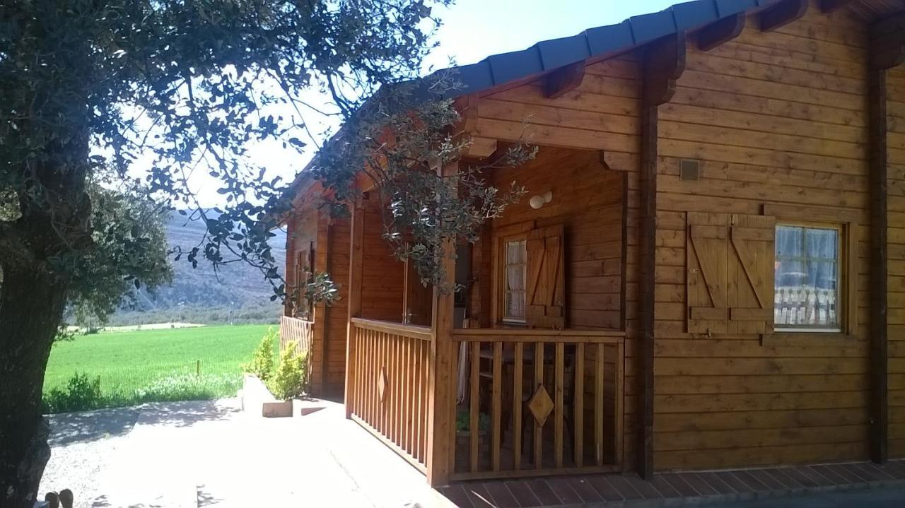 La Casa Del Estanque Villa Olocau del Rey Bagian luar foto