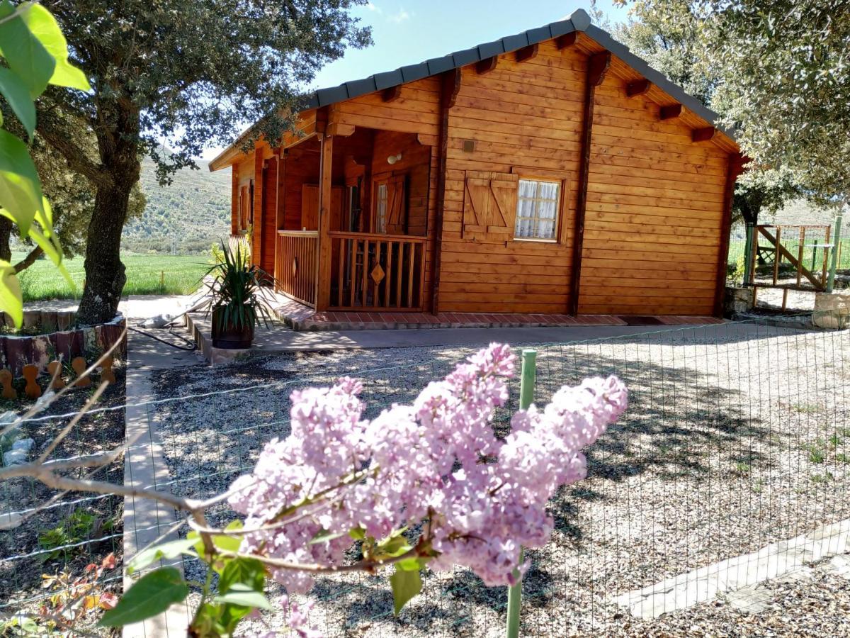 La Casa Del Estanque Villa Olocau del Rey Bagian luar foto