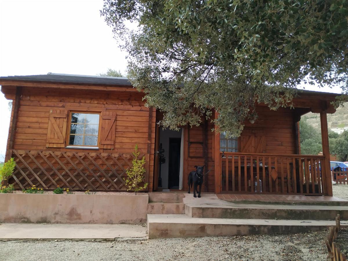 La Casa Del Estanque Villa Olocau del Rey Bagian luar foto