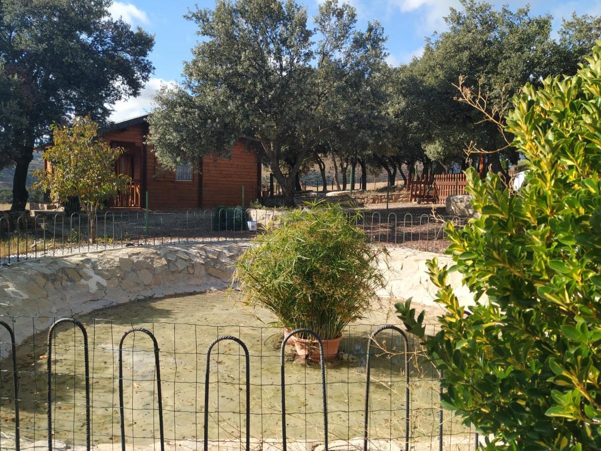 La Casa Del Estanque Villa Olocau del Rey Bagian luar foto