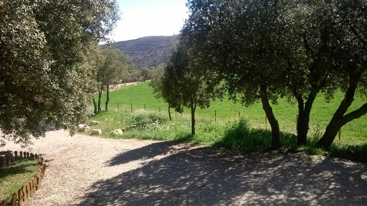 La Casa Del Estanque Villa Olocau del Rey Bagian luar foto